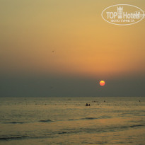 фото из отзыва ID 799824