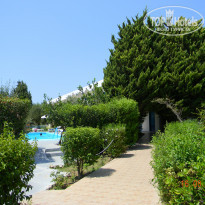 фото из отзыва ID 799508