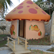 фото из отзыва ID 800017