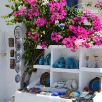 фото из отзыва ID 800050