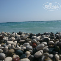 фото из отзыва ID 800271