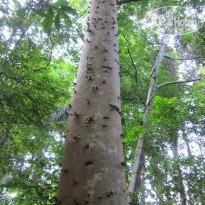 фото из отзыва ID 800510