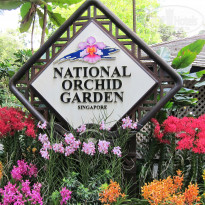 фото из отзыва ID 800510