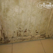 фото из отзыва ID 800547