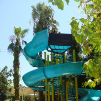 фото из отзыва ID 800564