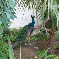 фото из отзыва ID 800637