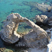 фото из отзыва ID 800724