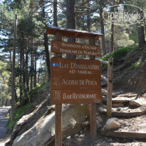 фото из отзыва ID 800764