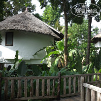 фото из отзыва ID 800835