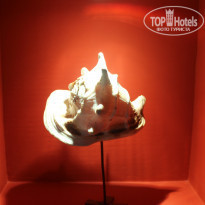 фото из отзыва ID 800841