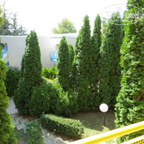 фото из отзыва ID 800944