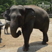 фото из отзыва ID 800442