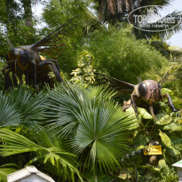 фото из отзыва ID 800442