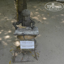 фото из отзыва ID 800442