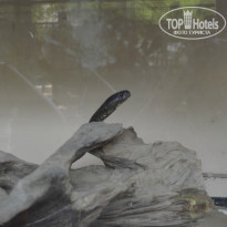 фото из отзыва ID 800442