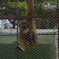 фото из отзыва ID 800442