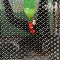 фото из отзыва ID 800442