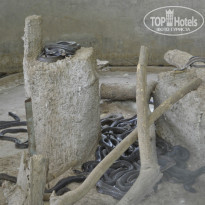 фото из отзыва ID 800442