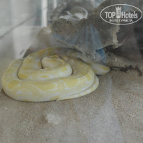 фото из отзыва ID 800442