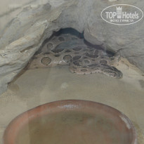 фото из отзыва ID 800442