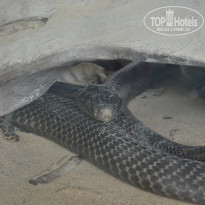 фото из отзыва ID 800442