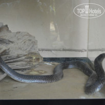 фото из отзыва ID 800442