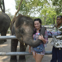 фото из отзыва ID 800442