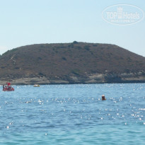 фото из отзыва ID 801076