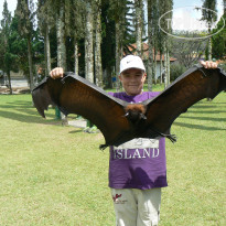 фото из отзыва ID 801477