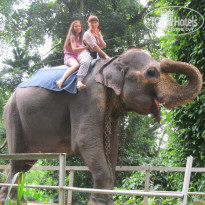 фото из отзыва ID 801088