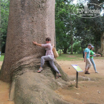 фото из отзыва ID 801088