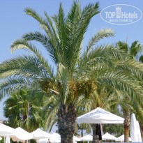 фото из отзыва ID 801682