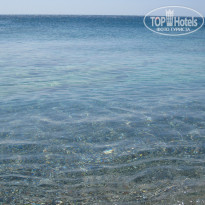 фото из отзыва ID 801834