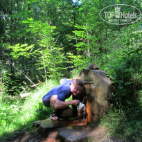 фото из отзыва ID 801957