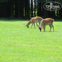 фото из отзыва ID 801957