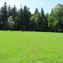 фото из отзыва ID 801957