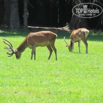 фото из отзыва ID 801957