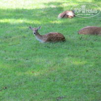 фото из отзыва ID 801957