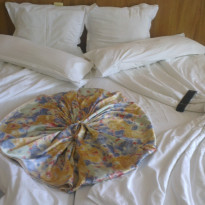 фото из отзыва ID 801307