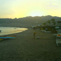 фото из отзыва ID 80195