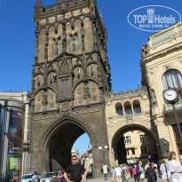 фото из отзыва ID 801506