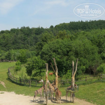 фото из отзыва ID 801506