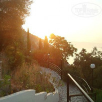 фото из отзыва ID 802064