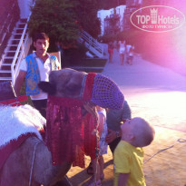 фото из отзыва ID 802071