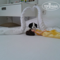 фото из отзыва ID 802430