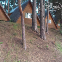 фото из отзыва ID 802522