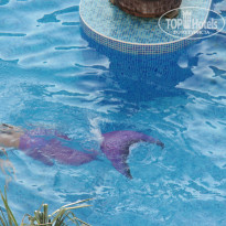 фото из отзыва ID 802611