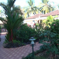 фото из отзыва ID 802750