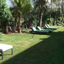 фото из отзыва ID 802750