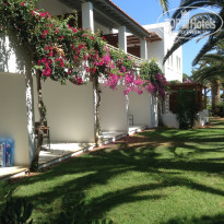 фото из отзыва ID 802788